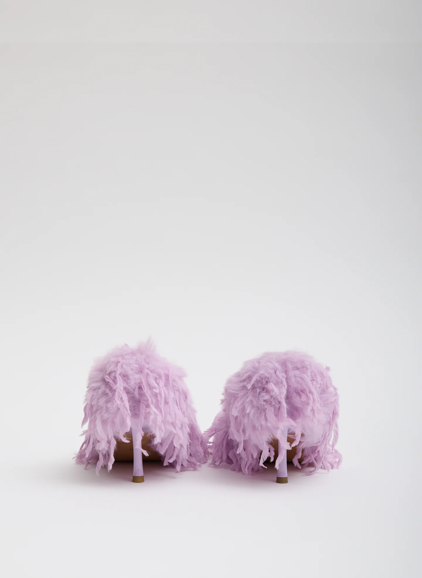 Matt Heel - Image 5